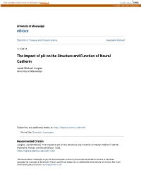The Impact of Ph on the Structure and Function of Neural Cadherin