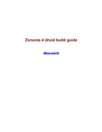 Zenonia 4 Druid Build Guide