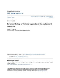 Behavioral Ecology of Territorial Aggression in Uca Pugilator and Uca Pugnax