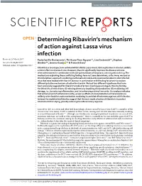 Determining Ribavirin's Mechanism of Action Against Lassa Virus Infection
