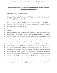Differential Expression of BMP Antagonists, Gremlin and Noggin In