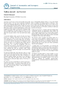 Tailless Aircraft : an Overview