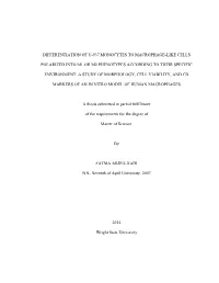 Differentiation of U-937 Monocytes to Macrophage-Like Cells