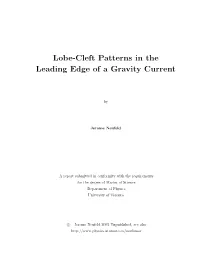 Lobe-Cleft Patterns in the Leading Edge of a Gravity Current