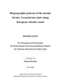 Biogeographic Patterns of the Marine Bivalve Cerastoderma Edule Along European Atlantic Coasts