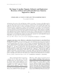 Defensive and Exploratory Reactions of Black and Golden-Headed Lion Tamarins Exposed to a Mirror