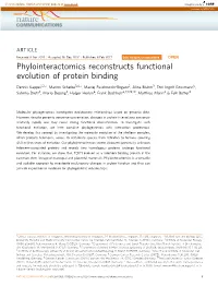 Phylointeractomics Reconstructs Functional Evolution of Protein Binding