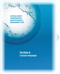 Section 6 ESTUARY PROGRAMS