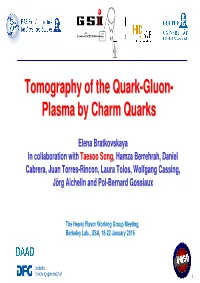 Tomography of the Quark-Gluon- Plasma by Charm Quarks