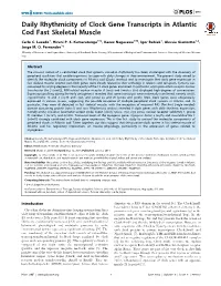 Daily Rhythmicity of Clock Gene Transcripts in Atlantic Cod Fast Skeletal Muscle