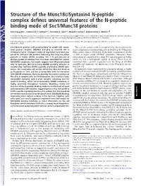 Structure of the Munc18c/Syntaxin4 N-Peptide Complex Defines Universal Features of the N-Peptide Binding Mode of Sec1/Munc18 Proteins