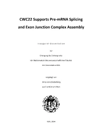 CWC22 Supports Pre-Mrna Splicing and Exon Junction Complex Assembly