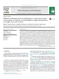 Different Mechanisms Drive the Performance of Native and Invasive Woody Species in Response to Leaf Phosphorus Supply During Periods of Drought Stress and Recovery