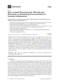 Role of Apple Phytochemicals, Phloretin and Phloridzin, in Modulating Processes Related to Intestinal Inﬂammation