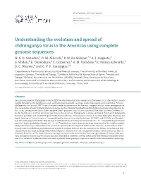 Understanding the Evolution and Spread of Chikungunya Virus in the Americas Using Complete Genome Sequences N