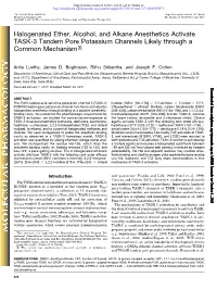 Halogenated Ether, Alcohol, and Alkane Anesthetics Activate TASK-3 Tandem Pore Potassium Channels Likely Through a Common Mechanism S