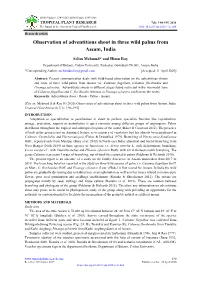 Observation of Adventitious Shoot in Three Wild Palms from Assam, India