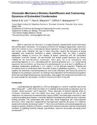 Chromatin Mechanics Dictates Subdiffusion and Coarsening Dynamics of Embedded Condensates Daniel S.W