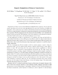 Magnetic Manipulation of Polymeric Nanostructures