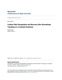 Cushion Plant Revegetation and Recovery After Recreational Trampling on a Colorado Fourteener