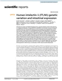 Human Intelectin-1 (ITLN1) Genetic Variation and Intestinal Expression
