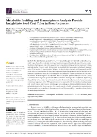 Metabolite Profiling and Transcriptome Analysis Provide