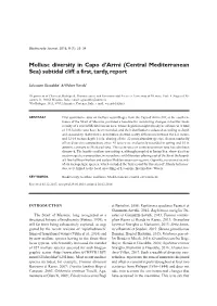 Central Mediterranean Sea) Subtidal Cliff: a First, Tardy, Report