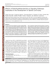 Effects of Palmitoylethanolamide on Signaling Pathways Implicated in the Development of Spinal Cord Injury
