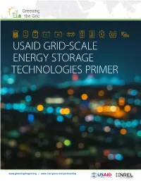 Usaid Grid-Scale Energy Storage Technologies Primer