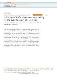 And CAND1-Dependent Remodelling of the Budding Yeast SCF Complex