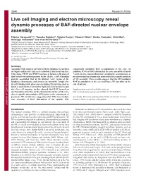 Live Cell Imaging and Electron Microscopy Reveal Dynamic Processes of BAF-Directed Nuclear Envelope Assembly