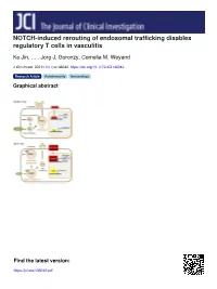 NOTCH-Induced Rerouting of Endosomal Trafficking Disables Regulatory T Cells in Vasculitis