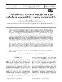 Calcification of the Arctic Coralline Red Algae Lithothamnion Glaciale in Response to Elevated CO2