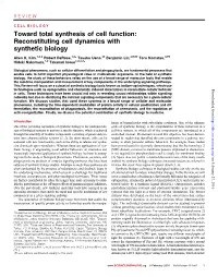 Reconstituting Cell Dynamics with Synthetic Biology