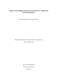 Aspects of Developing Tasmannia Lanceolata for Commercial Extract Production