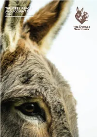 Trustees' Report and Accounts 2014