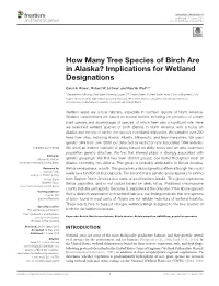 How Many Tree Species of Birch Are in Alaska? Implications for Wetland Designations