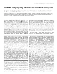 FGF/FGFR-2(Iiib) Signaling Is Essential for Inner Ear Morphogenesis