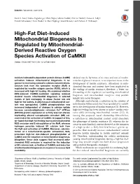 High-Fat Diet–Induced Mitochondrial Biogenesis Is Regulated by Mitochondrial- Derived Reactive Oxygen Species Activation of Camkii