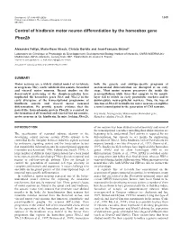 Phox2b and Motoneuronal Differentiation