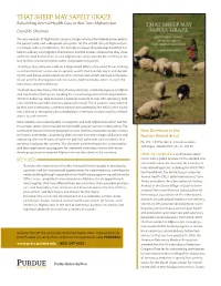 THAT SHEEP MAY SAFELY GRAZE Rebuilding Animal Health Care in War-Torn Afghanistan David M