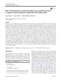 Effect of Foresting Barren Ground with Macrocystis Pyrifera (Linnaeus) C