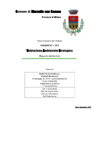 Comune Di Mesero