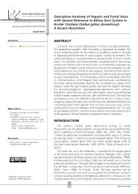 Descriptive Anatomy of Hepatic and Portal Veins with Special Reference