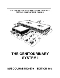 The Genitourinary System I