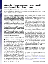 RNA-Mediated Trans-Communication Can Establish Paramutation at the B1 Locus in Maize