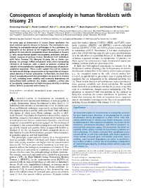 Consequences of Aneuploidy in Human Fibroblasts with Trisomy 21