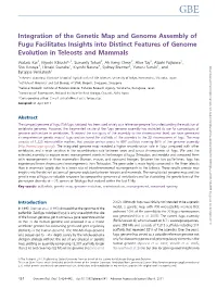 Integration of the Genetic Map and Genome Assembly of Fugu Facilitates Insights Into Distinct Features of Genome Evolution in Teleosts and Mammals