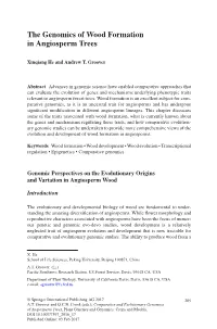 The Genomics of Wood Formation in Angiosperm Trees