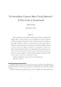 Do Surveillance Cameras Affect Unruly Behavior? a Close Look At